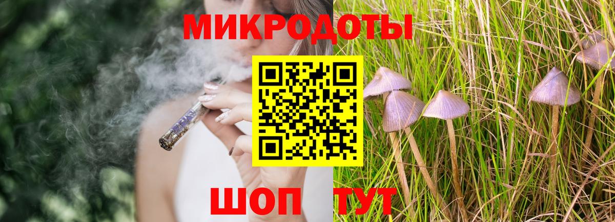 купить закладку  Вход с VPN  Норильск  Псилоцибиновые грибы мицелий 